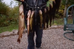 Belle-pêche-Baskatong-oct.2016-e1497386255425