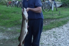 Pierrot-Brochet-15.4lbs-41-e1497386524990
