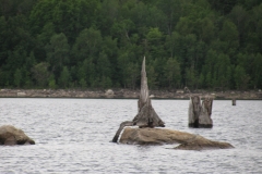 Sculture au Baskatong