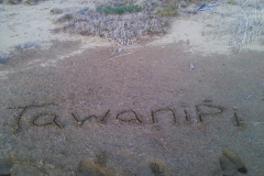 Tawanipi-sable